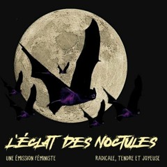 L’éclat des noctules #15 – Les fleurs