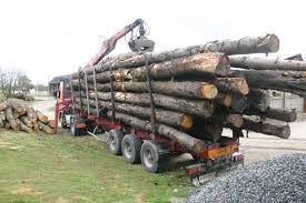 Les grumiers, le transport du bois dans le Vercors