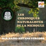 Chroniques naturalistes de la Nichoule – Septembre/octobre 2025