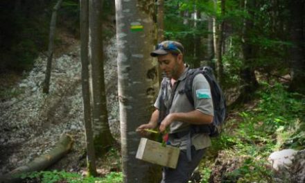 Rencontre avec Sébastien, écogarde du Parc