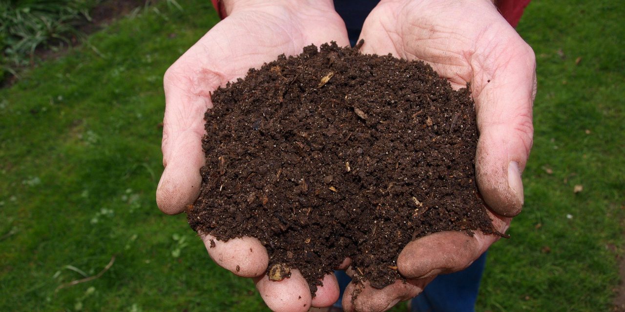 Tout savoir sur le compost