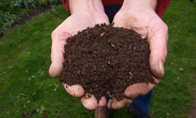 Tout savoir sur le Compost !