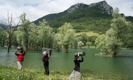 “Traverses” avec la compagnie Dans tes rêves