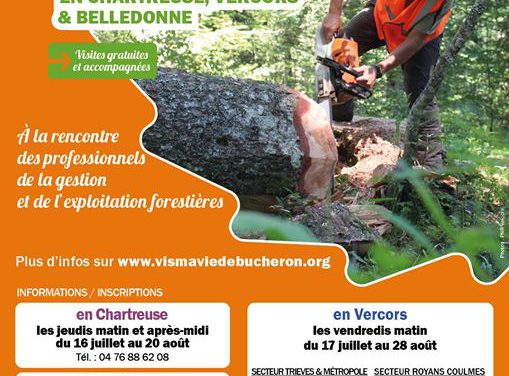 Vis ma vie de bûcheron