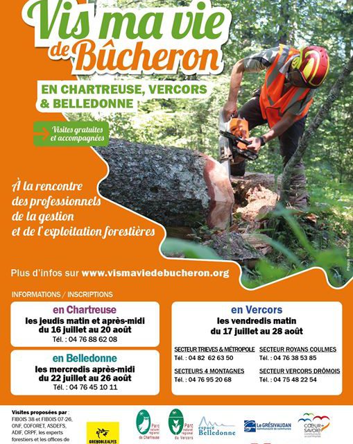 Vis ma vie de bûcheron