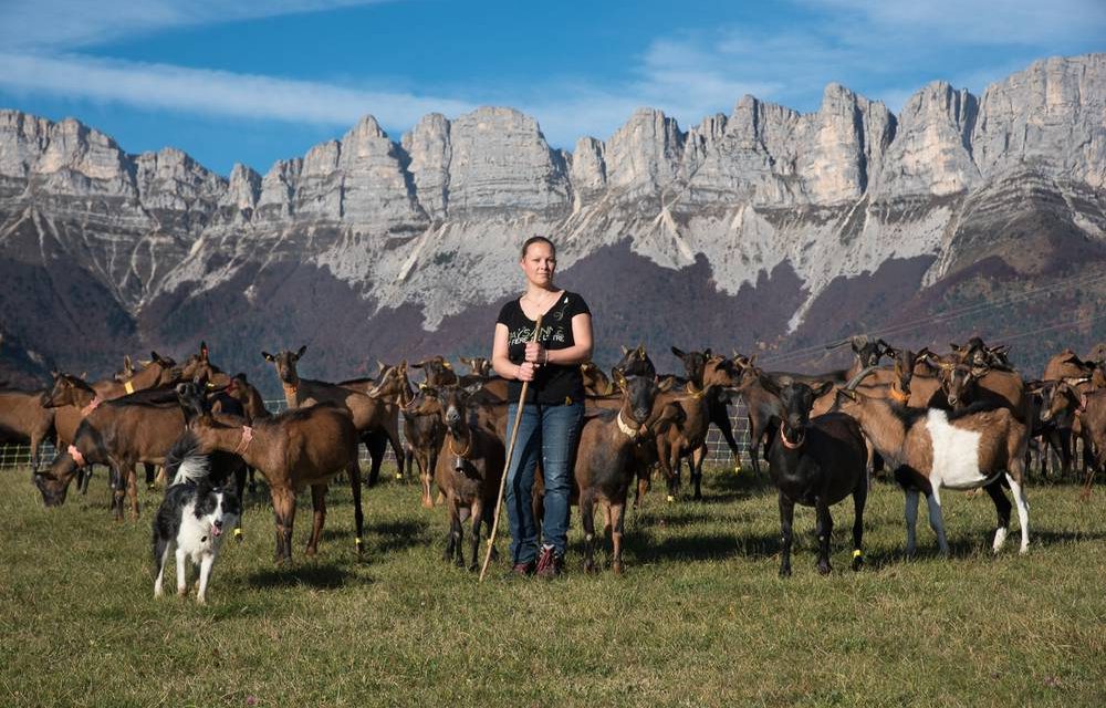 A tout bout d’champ dans le Trièves