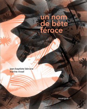 Plumes de brigands 192