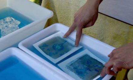 Atelier cyanotype