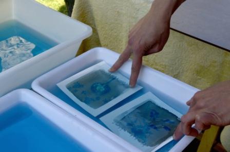 Atelier cyanotype