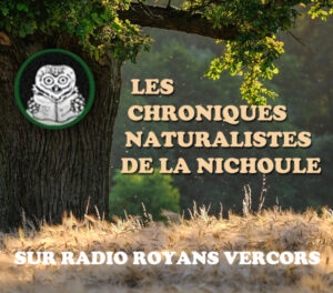 Les chroniques naturalistes de la Nichoule