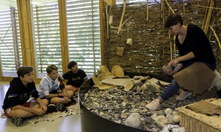 Le musée de la préhistoire à Vassieux fait peau neuve