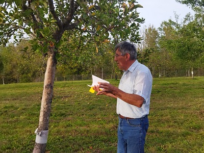 Fête de la pomme – Les fruits retrouvés