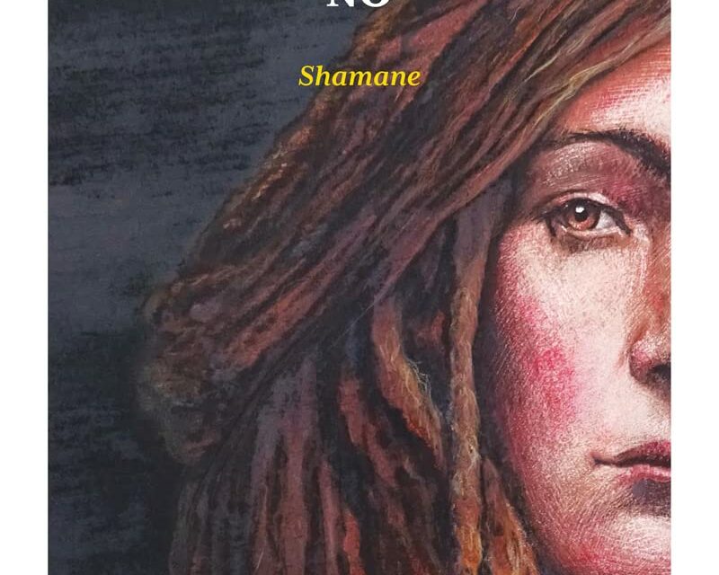 Bruits de page – Shamane, de Marc Graciano