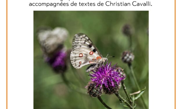 « Autre-voir » : exposition et atelier d’écriture à la Librairie Les Espelines de Vassieux en Vercors