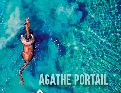 Bruits de pages – Les âmes torrentielles, d’Agathe Portail