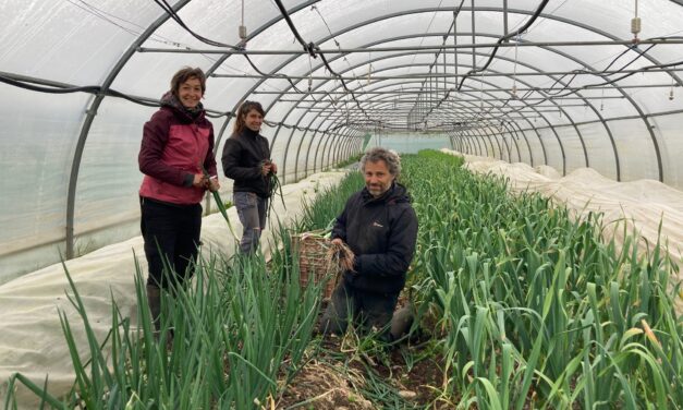 Journée « Ferme ouverte » au Temps des Légumes