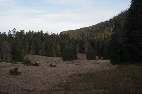 Tendre l’oreille en forêt de Lente