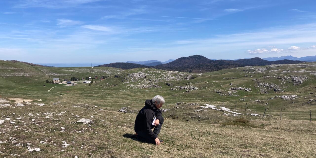 Balade à Font d’Urle pour la Fête de la Nature 2023