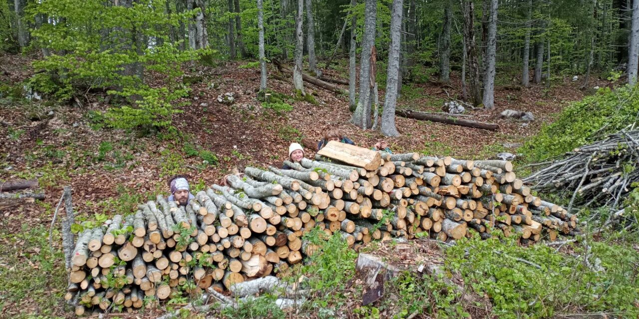 La charbonnière du Vercors