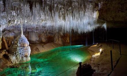 L’été à la grotte de Choranche
