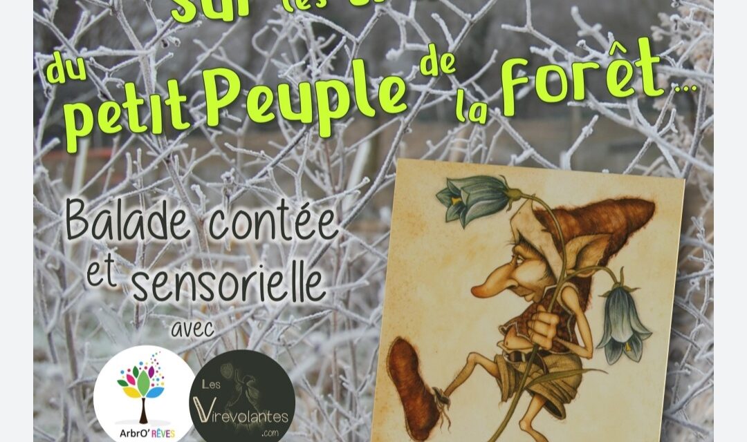 Sur les traces du petit peuple-balade sensorielle ArbrORêves