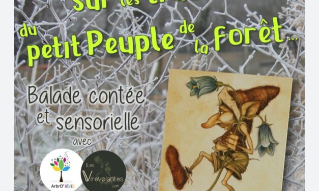 Sur les traces du petit peuple-balade sensorielle ArbrORêves