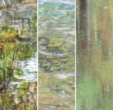 Exposition Impressi »eau »nisme par Ludivine Van Poucke