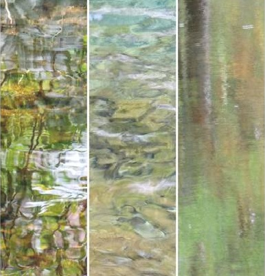 Exposition Impressi »eau »nisme par Ludivine Van Poucke