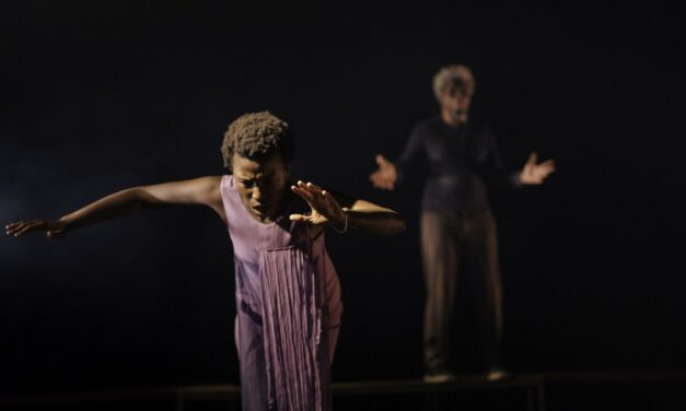 Interview d’Elemawusi Agbedjidji, auteur et metteur en scène du spectacle « La chute infinie des soleils »