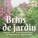Brins de Jardin #35 et #36 : les bulbes d’été et le potager en mars