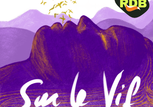 Sur le VIF, les voix de la résilience, Radio des Boutières