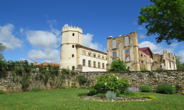 Expos et temps forts au château de l’Arthaudière