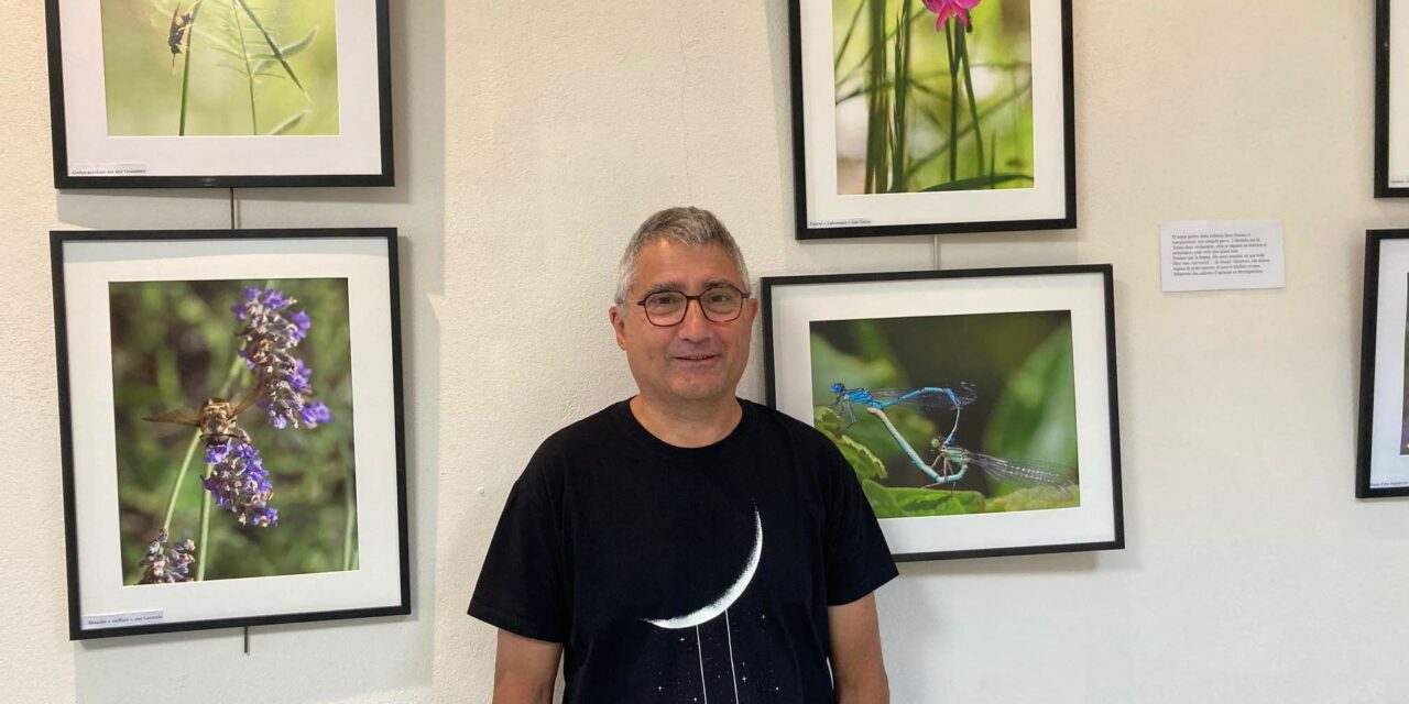 Découvrez l’exposition photo « Sympathiques insectes »