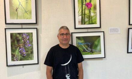 Découvrez l’exposition photo « Sympathiques insectes »