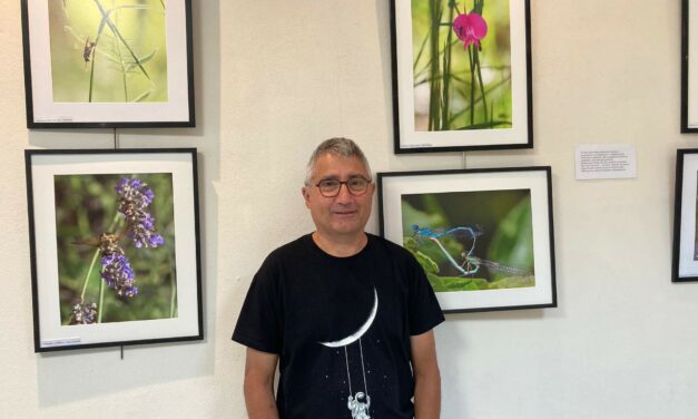 Découvrez l’exposition photo « Sympathiques insectes »
