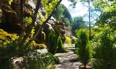 Merveilles et rafraichissement au Jardin des fontaines pétrifiantes en 5 podcasts