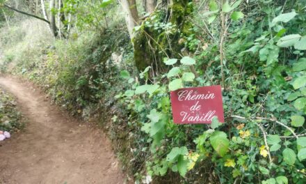 Chantier Concordia sur le chemin de Vanille