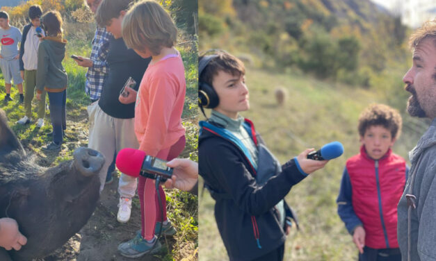 Le kébab est dans le pré