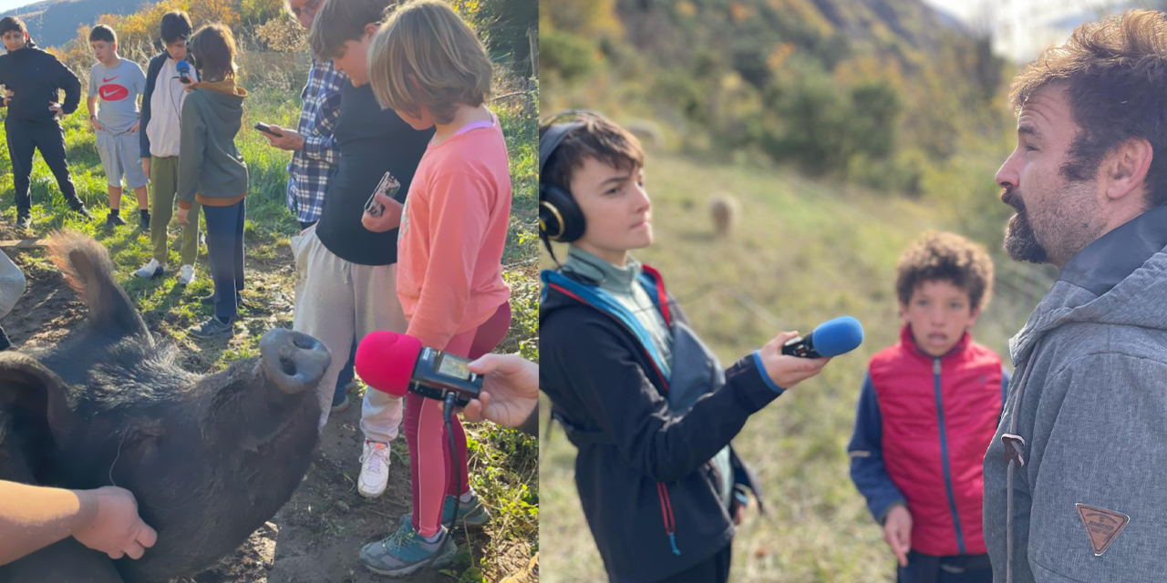 Le kébab est dans le pré