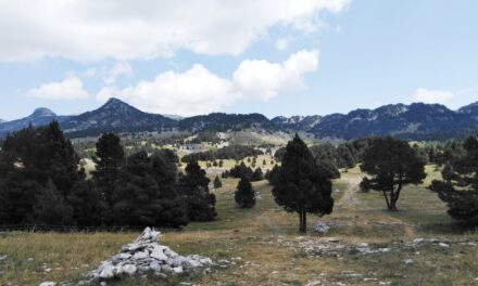 40ème anniversaire de la réserve naturelle des hauts plateaux du Vercors