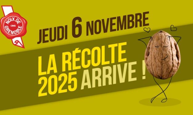 Lancement de la noix de Grenoble 2025