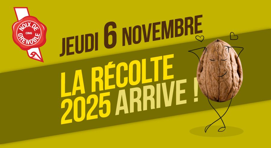 Lancement de la noix de Grenoble 2025