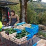 Un petit marché à Rochechinard