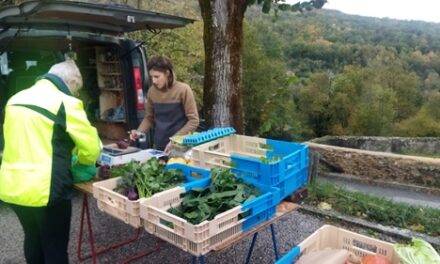 Un petit marché à Rochechinard
