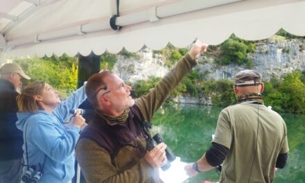 Croisière ornithologique sur le bateau à roue