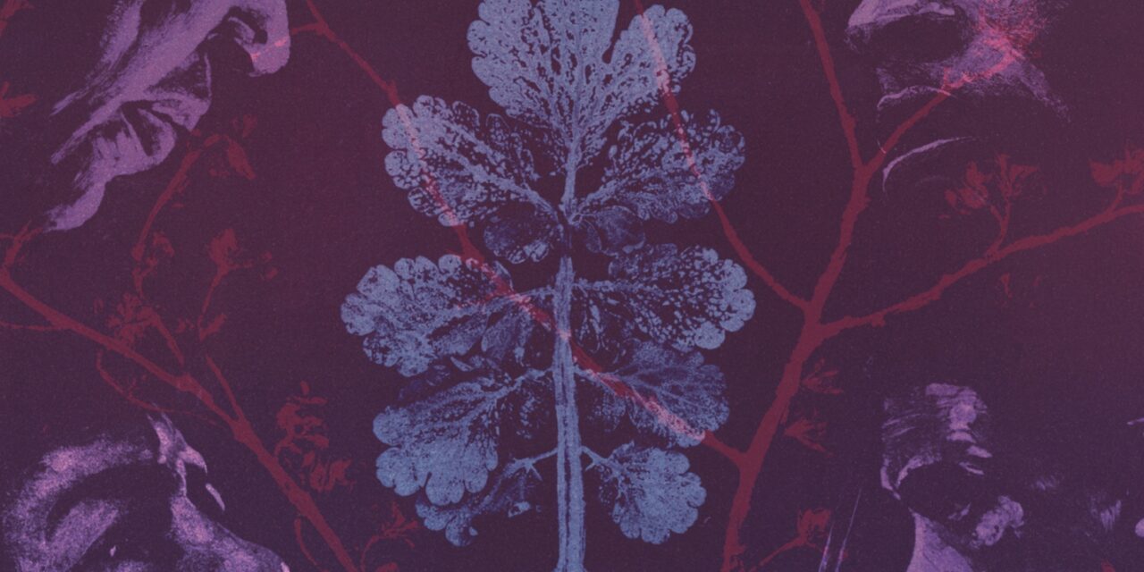 Nos rêves font des forêts, le nouvel album de l&rsquo;1consolable, 100% instrumental