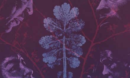 Nos rêves font des forêts, le nouvel album de l&rsquo;1consolable, 100% instrumental