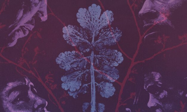 Nos rêves font des forêts, le nouvel album de l&rsquo;1consolable, 100% instrumental