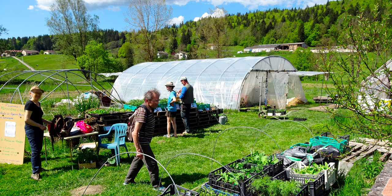 Les plants d’Adeline