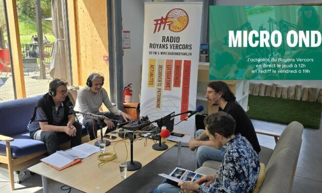 Micro ondes à L&rsquo;artsolite